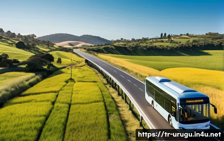 우루과이 교통 시스템 관련 이미지 1